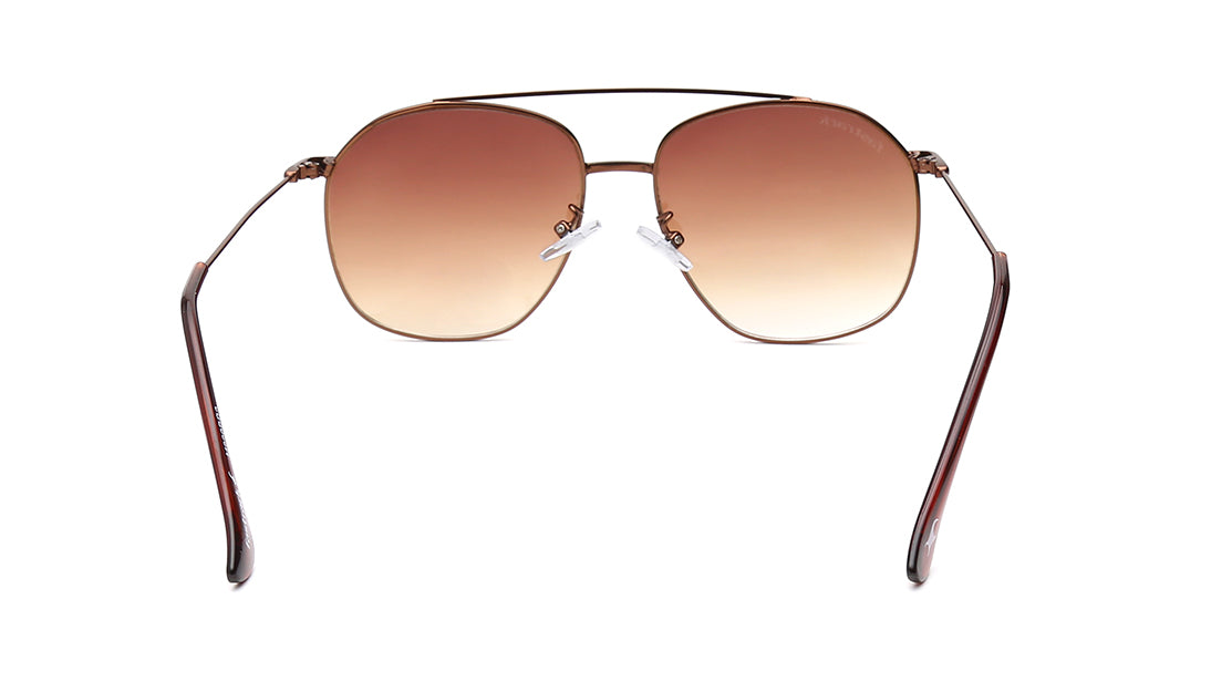 FTK S/G M229BR2V SUNGLASS FTK S/G M229BR2V SUNGLASS
